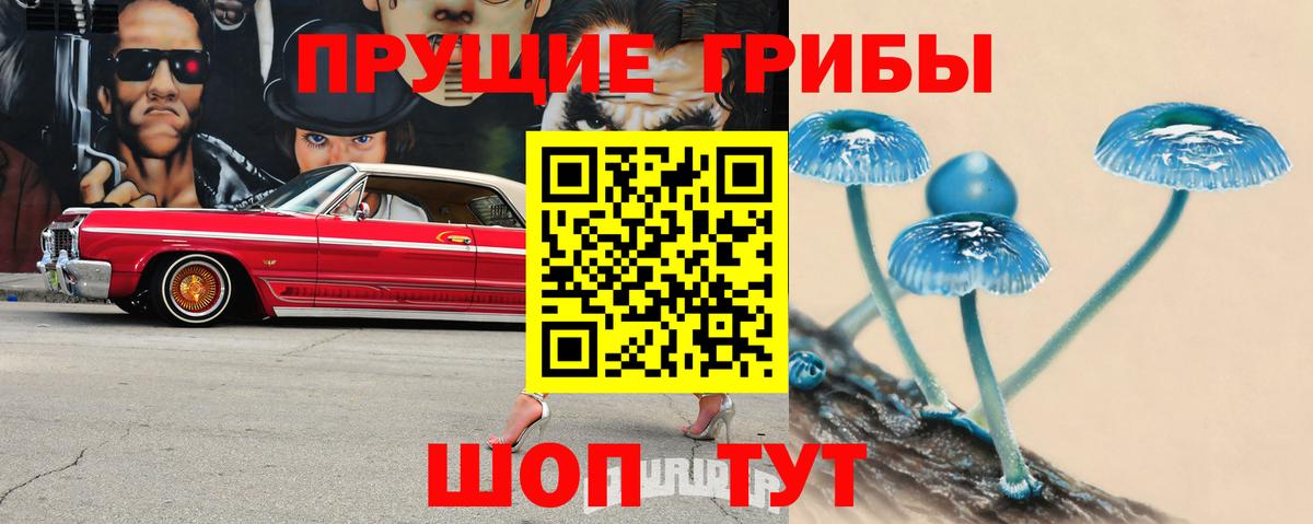 цена наркотик  Вход с VPN  Сафоново  Галлюциногенные грибы Psilocybine cubensis 