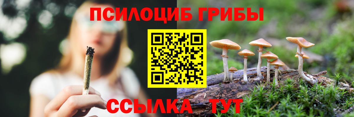 Псилоцибиновые грибы Magic Shrooms Сафоново